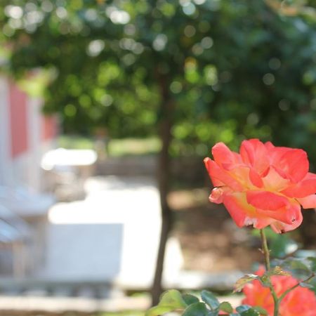 Apartments Toni Trogir Chambre photo