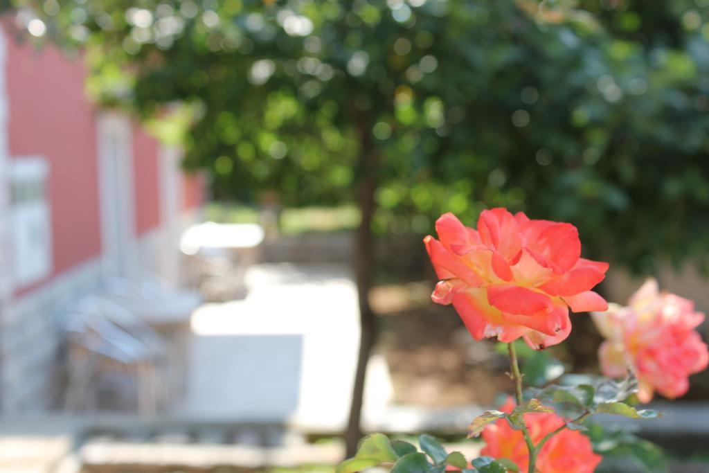 Apartments Toni Trogir Chambre photo